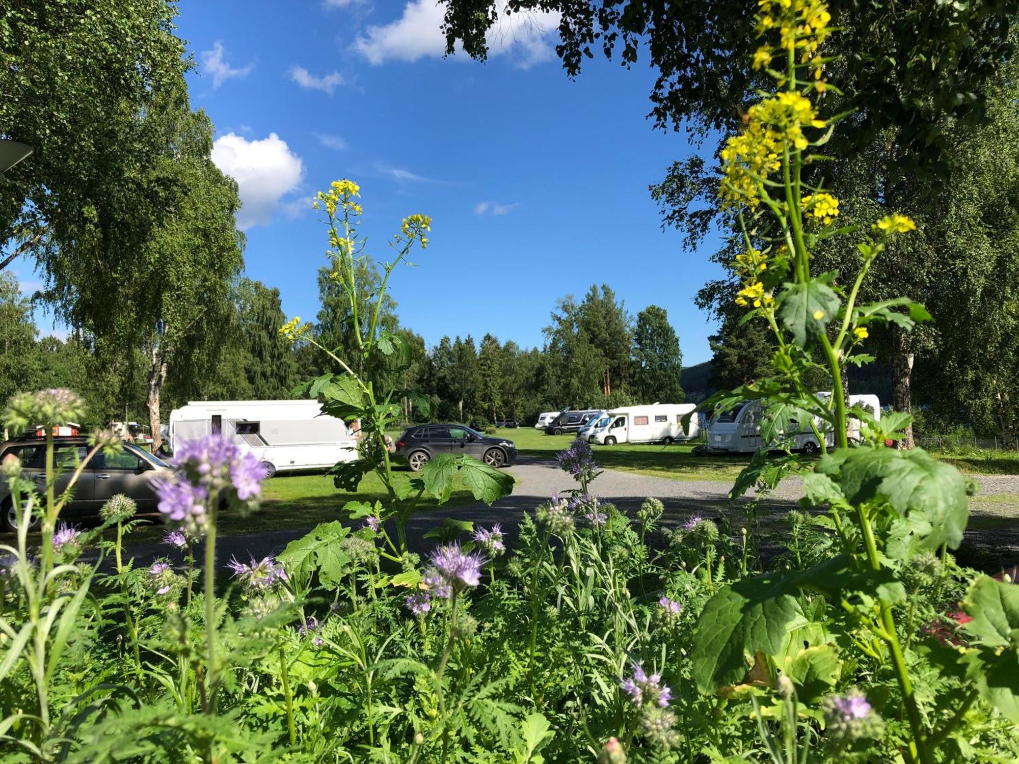 4 Persoons Stuga Hammarstrand Buitenkant foto